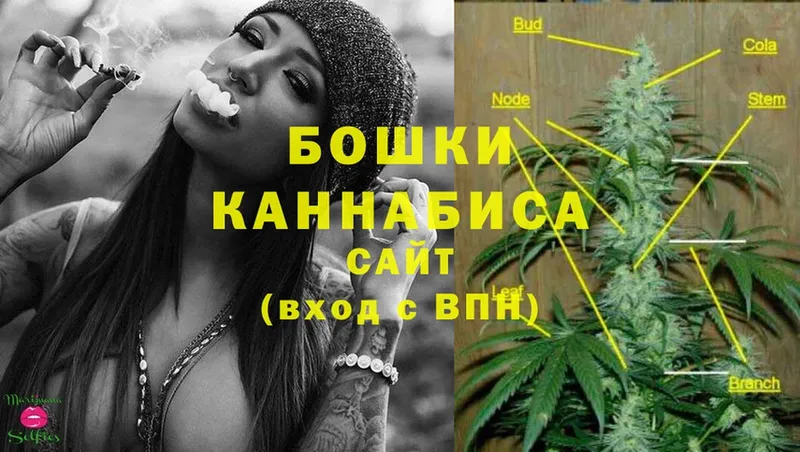 купить наркоту  Купино  Шишки марихуана THC 21% 